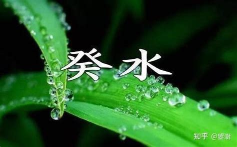 癸水生甲木|十天干详解——癸水